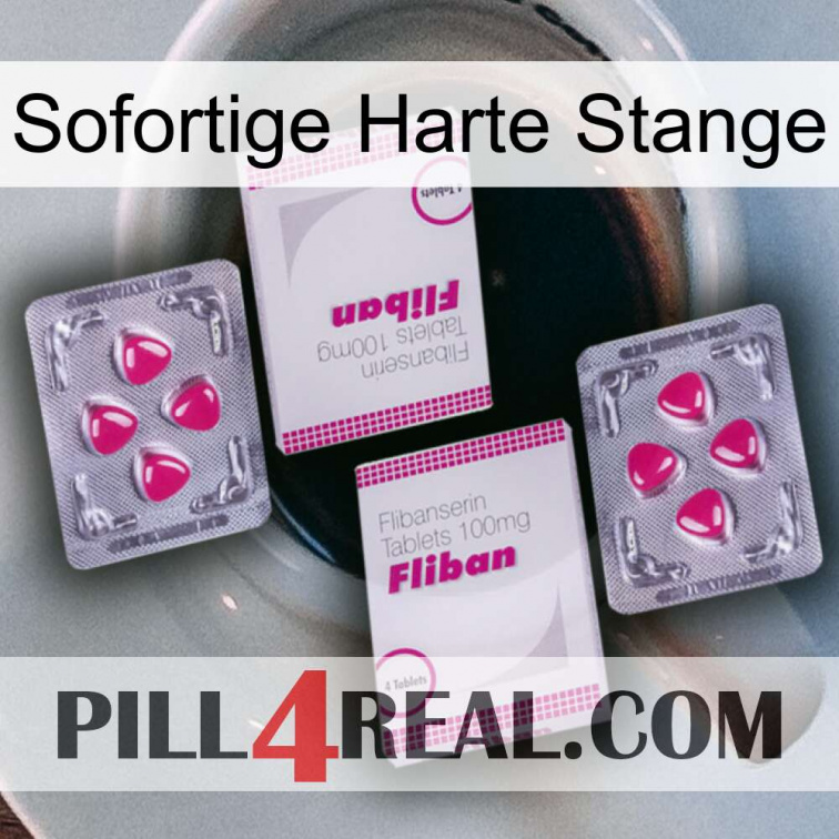 Instant Hard Rod 33